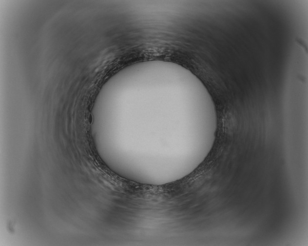 X0000103420961200809261703