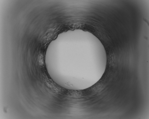 X0000103420962200809261703