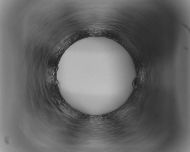 X0000103420964200809261703