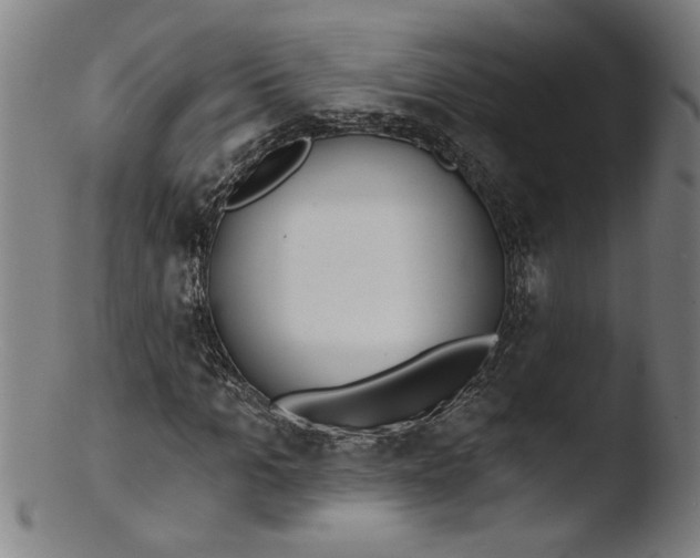 X0000103420965200809261703