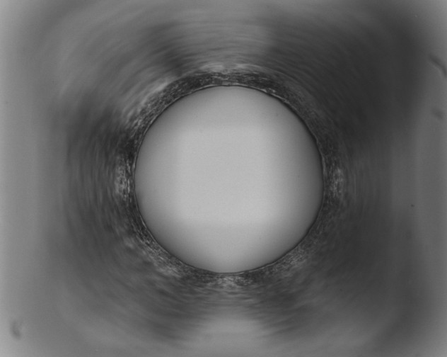 X0000103420966200809261703