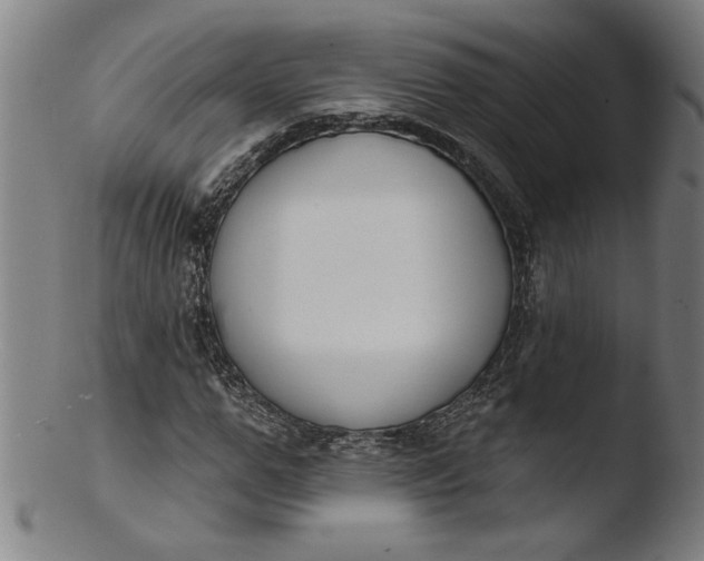 X0000103420967200809261703