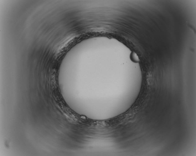 X0000103420968200809261703
