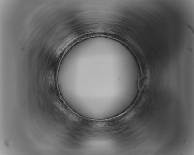 X0000103420969200809261703