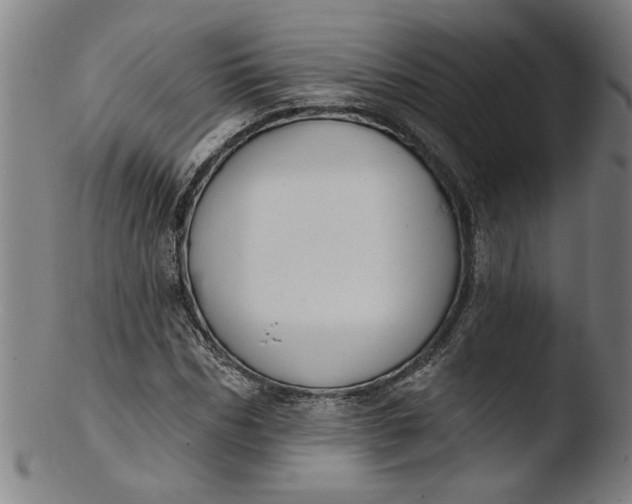 X0000103420970200809261703