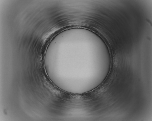 X0000103420971200809261703