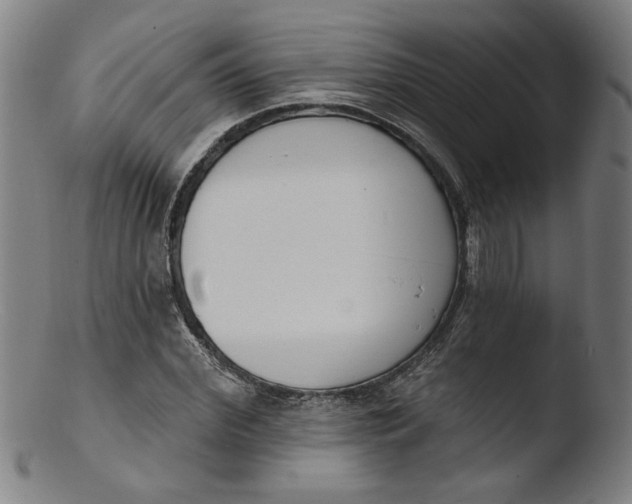 X0000103420972200809261703