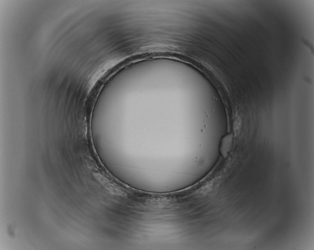 X0000103420973200809261703