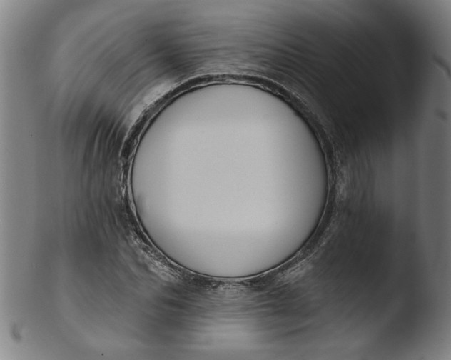 X0000103420974200809261703