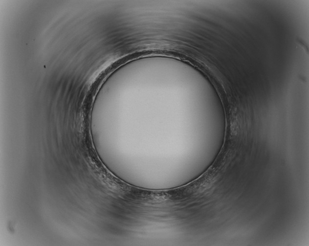 X0000103420975200809261703