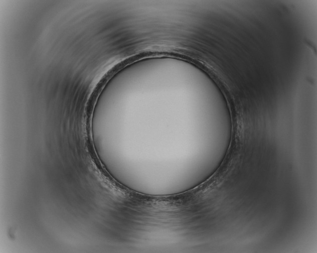 X0000103420976200809261703