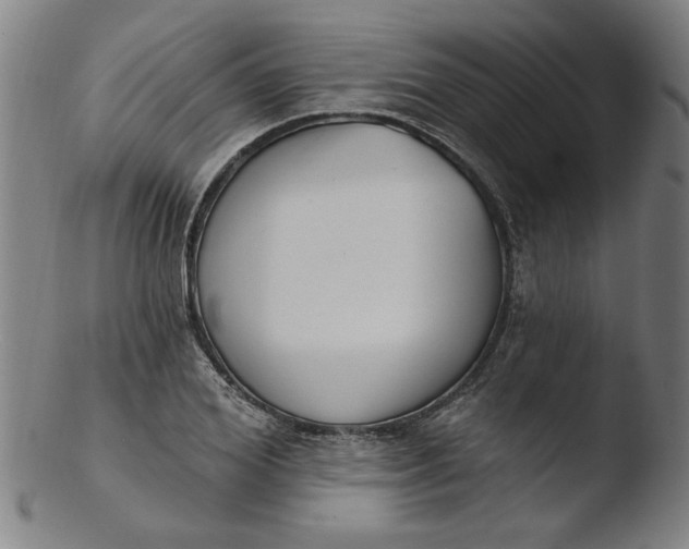 X0000103420980200809261703