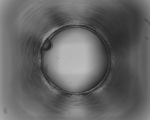 X0000103420981200809261703