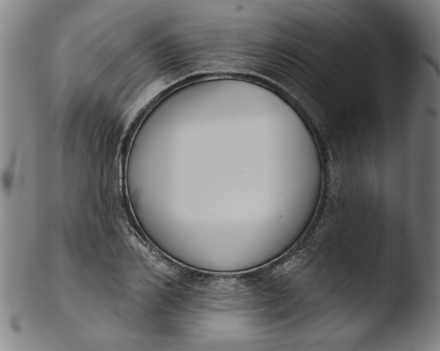 X0000103420982200809261703