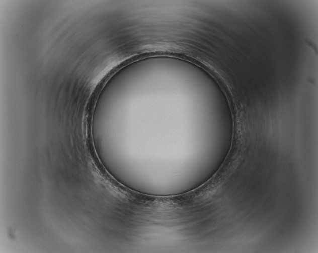 X0000103420983200809261703