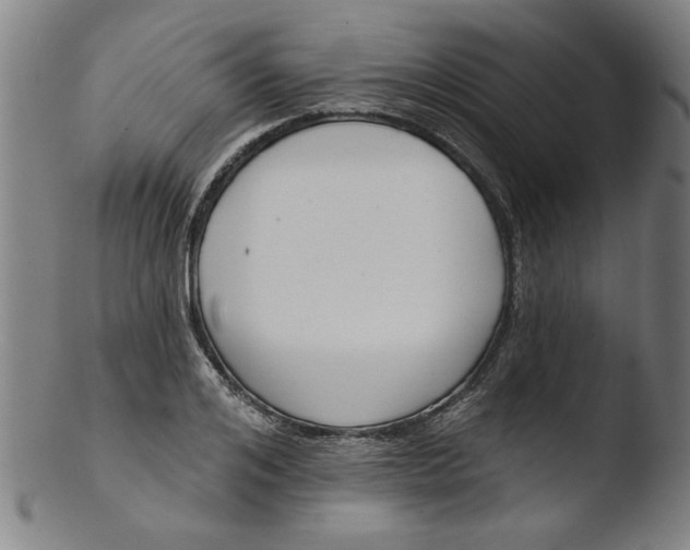 X0000103420984200809261703