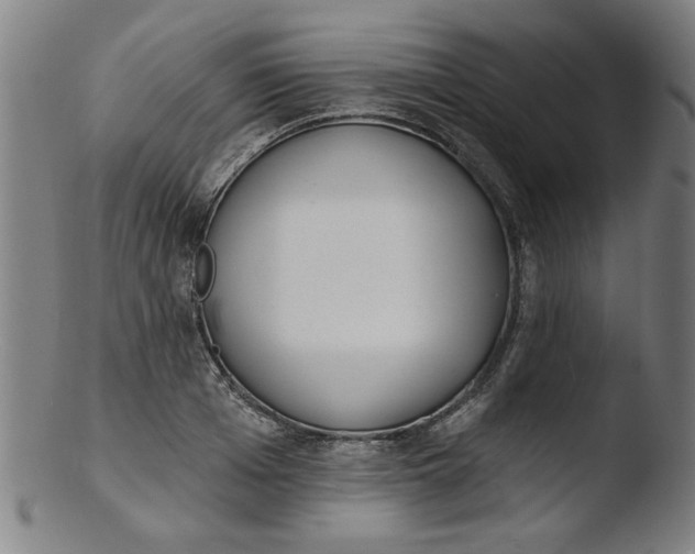 X0000103420985200809261703