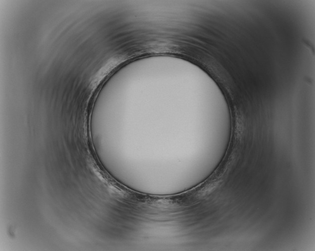X0000103420986200809261703