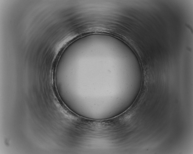 X0000103420987200809261703