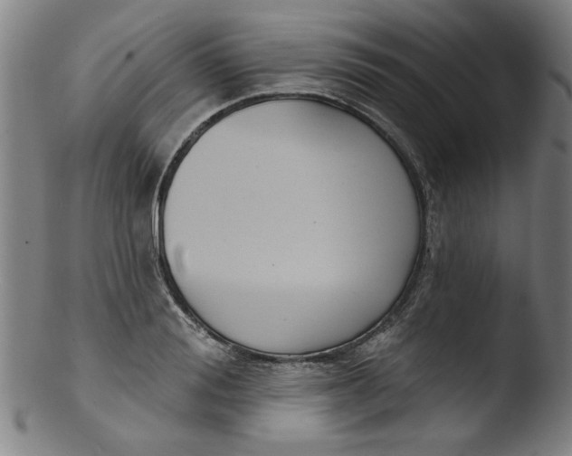 X0000103420988200809261703