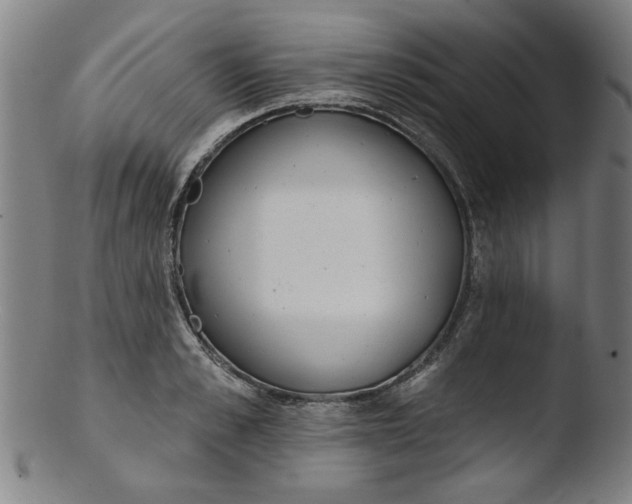 X0000103420989200809261703