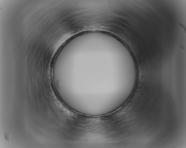 X0000103420990200809261703