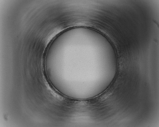 X0000103420991200809261703