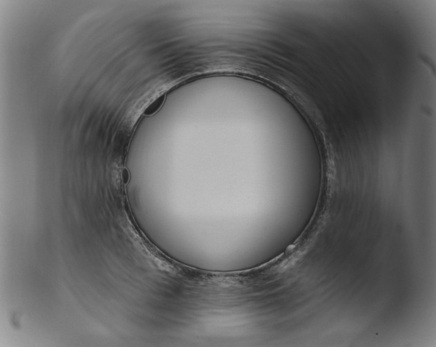 X0000103420993200809261703
