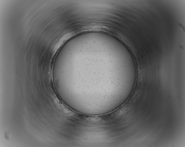 X0000103420994200809261703