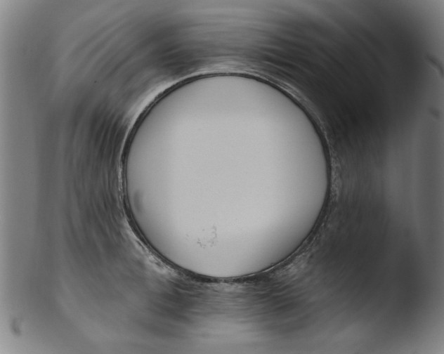 X0000103420996200809261703