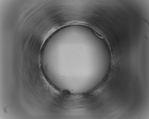 X0000103420997200809261703