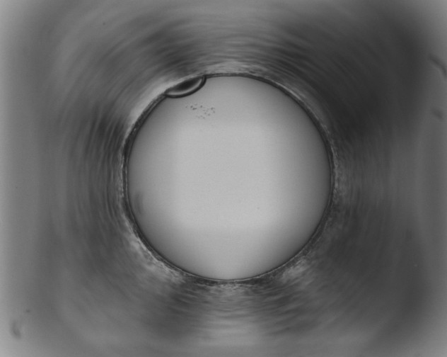 X0000103421000200809261702