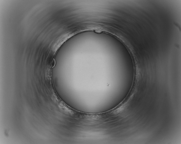X0000103421001200809261702