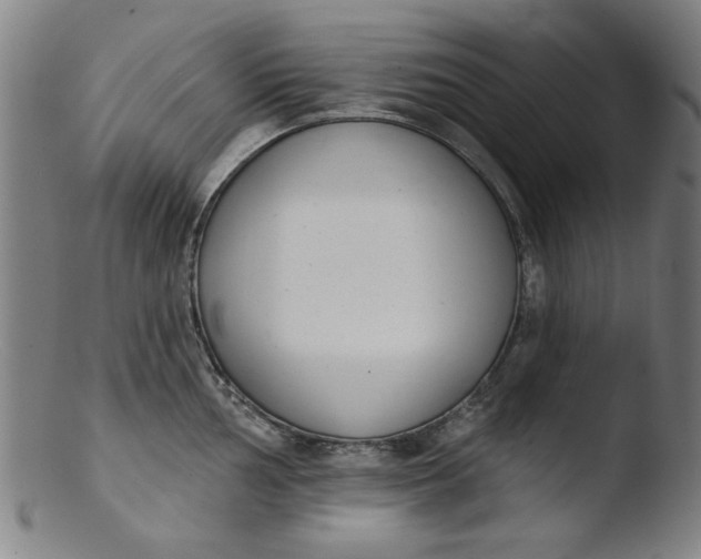 X0000103421002200809261702