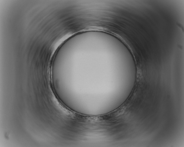 X0000103421003200809261702