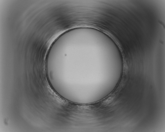 X0000103421004200809261702