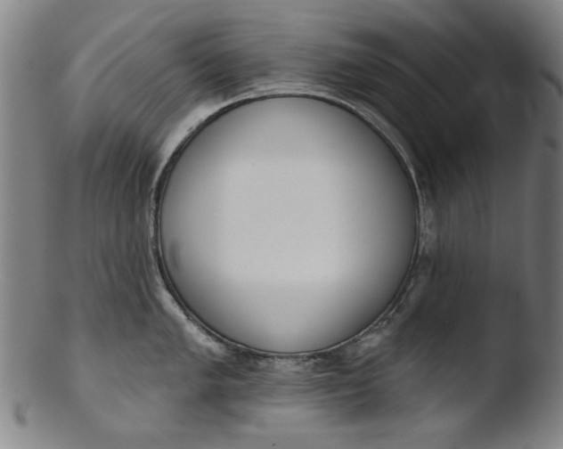 X0000103421005200809261702