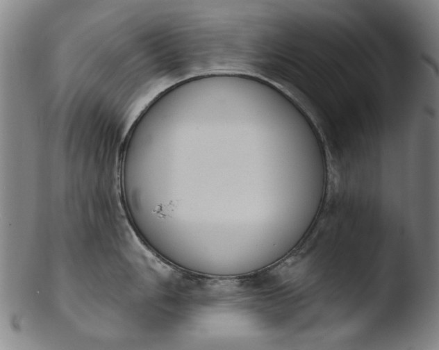 X0000103421006200809261702