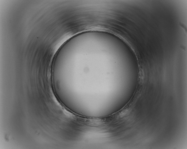 X0000103421007200809261702
