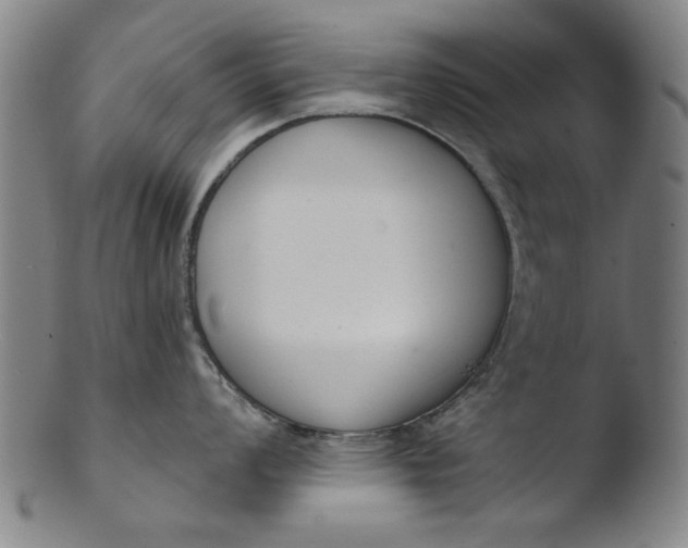 X0000103421008200809261702