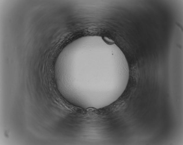 X0000103421009200809261702