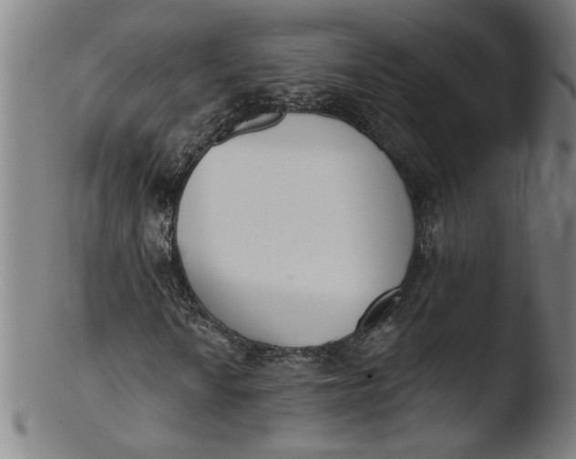 X0000103421010200809261702