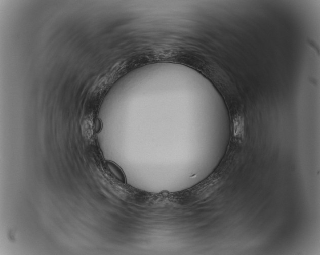 X0000103421011200809261702