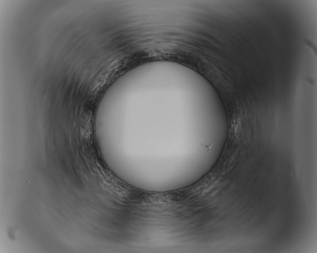 X0000103421012200809261702