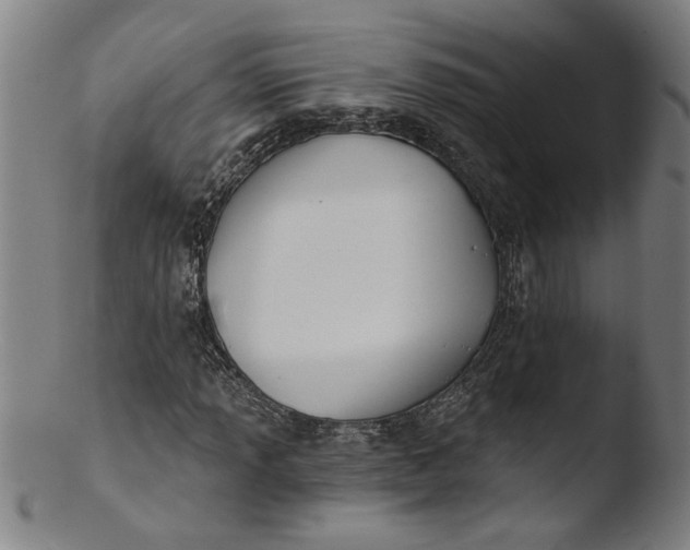 X0000103421013200809261702
