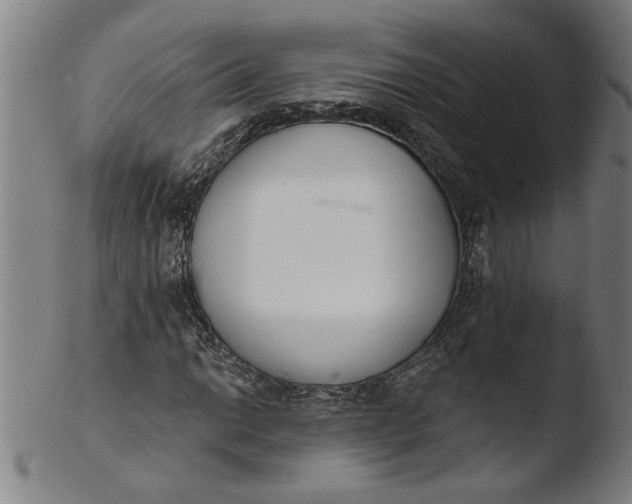 X0000103421014200809261702