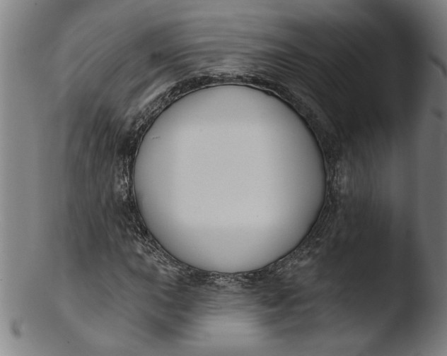 X0000103421015200809261702
