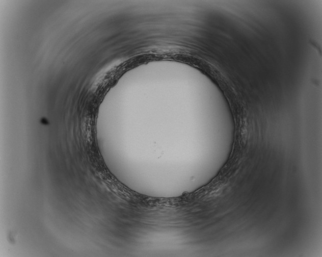X0000103421016200809261702