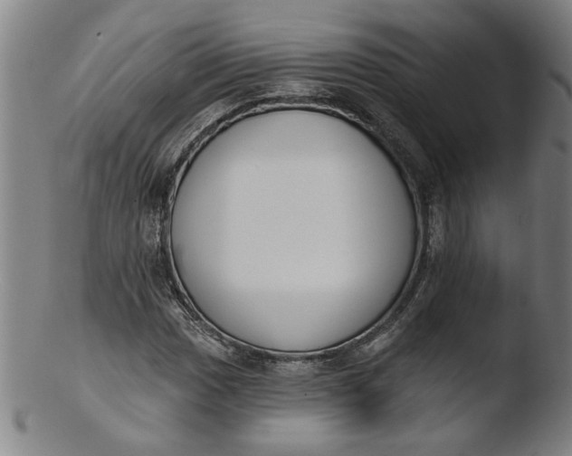 X0000103421017200809261702