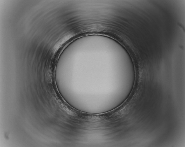 X0000103421018200809261702